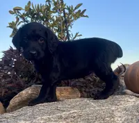 processed/3053e65f-1867-4ef5-a32a-735403bb6cf3/listing/cef80446-9685-42cb-af7d-55c79c00c661/6c6e88da-9db9-4455-9e04-1b0b556fb5c1