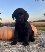 processed/3053e65f-1867-4ef5-a32a-735403bb6cf3/listing/cef80446-9685-42cb-af7d-55c79c00c661/aa9e458d-a7fb-4b1f-81fa-a4498d381cd2