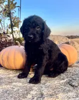 processed/3053e65f-1867-4ef5-a32a-735403bb6cf3/listing/ebc2deca-7b5b-4faf-ba30-d0148cf569fb/4954c93f-959e-4981-b9f5-8361a5bcf257