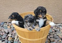 processed/305956f4-e94b-4e74-b197-8ec3e2a100c4/facility/56cf72ee-a820-4812-b2d3-bbf9d1868a7e