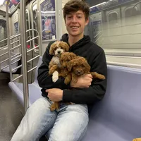 processed/305aa266-4cc0-4def-922e-5646507e5672/facility/0f56ce4c-40ae-4da4-baca-949511055cf7