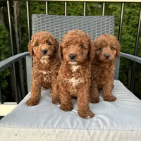 processed/305aa266-4cc0-4def-922e-5646507e5672/facility/271a9bda-4618-4231-a2f8-3070f1a01e87