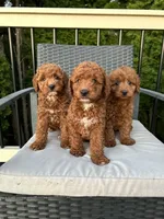 processed/305aa266-4cc0-4def-922e-5646507e5672/facility/271a9bda-4618-4231-a2f8-3070f1a01e87