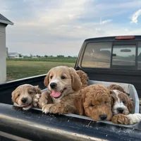 processed/305aa266-4cc0-4def-922e-5646507e5672/facility/de5eb062-f7a3-4751-8cc4-e3dc97b3aff2