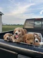 processed/305aa266-4cc0-4def-922e-5646507e5672/facility/de5eb062-f7a3-4751-8cc4-e3dc97b3aff2