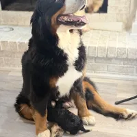 processed/305e4d08-0276-4e0a-8db2-3e1f5ab3b0e8/facility/01b39fbd-bafe-4c76-8d48-66310ddf46b3