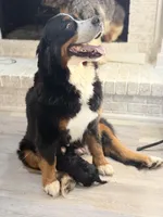 processed/305e4d08-0276-4e0a-8db2-3e1f5ab3b0e8/facility/01b39fbd-bafe-4c76-8d48-66310ddf46b3