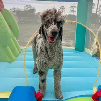 processed/305e4d08-0276-4e0a-8db2-3e1f5ab3b0e8/facility/2eb58df6-f9c4-4ac7-b31c-e4649d31be34