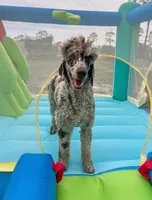 processed/305e4d08-0276-4e0a-8db2-3e1f5ab3b0e8/facility/2eb58df6-f9c4-4ac7-b31c-e4649d31be34