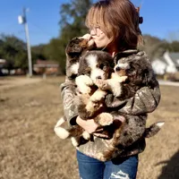 processed/305e4d08-0276-4e0a-8db2-3e1f5ab3b0e8/facility/528f4b3b-a773-44a0-af9c-56ad3ba55c32