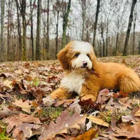 processed/305e4d08-0276-4e0a-8db2-3e1f5ab3b0e8/facility/c279af86-339d-44cc-828b-a392598e507a