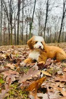 processed/305e4d08-0276-4e0a-8db2-3e1f5ab3b0e8/facility/c279af86-339d-44cc-828b-a392598e507a