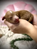 processed/305e4d08-0276-4e0a-8db2-3e1f5ab3b0e8/listing/1e77a815-e4b6-4c7d-be5b-a93ff081c24c/f9486dd0-b803-447b-9db2-49d196e63c61