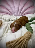 processed/305e4d08-0276-4e0a-8db2-3e1f5ab3b0e8/listing/46ab8995-aaf8-4fd4-b489-f43c045ed8cf/867b90ab-0b39-43f1-bd47-655ad09afa2d