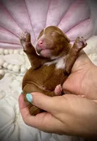 processed/305e4d08-0276-4e0a-8db2-3e1f5ab3b0e8/listing/46ab8995-aaf8-4fd4-b489-f43c045ed8cf/b3a46f82-71cf-400f-9663-5e8115147bea