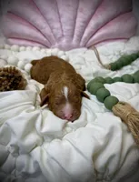 processed/305e4d08-0276-4e0a-8db2-3e1f5ab3b0e8/listing/46ab8995-aaf8-4fd4-b489-f43c045ed8cf/f50501fd-6663-42f3-8525-d1e030829b50