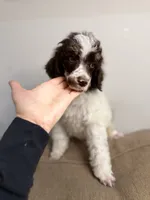 processed/305e4d08-0276-4e0a-8db2-3e1f5ab3b0e8/listing/818192e4-1c4e-423c-858c-756ec3c2c72b/34ea7de1-17d0-4cc2-93b3-1690a444b4f5