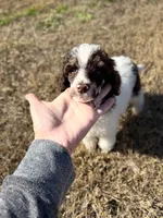 processed/305e4d08-0276-4e0a-8db2-3e1f5ab3b0e8/listing/818192e4-1c4e-423c-858c-756ec3c2c72b/8c921afa-cd90-4de3-9942-1a392cc33ddc