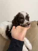 processed/305e4d08-0276-4e0a-8db2-3e1f5ab3b0e8/listing/818192e4-1c4e-423c-858c-756ec3c2c72b/a9677fa0-adc9-4ee4-80cb-da4c920f02e8