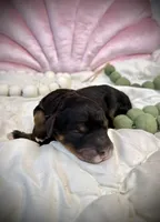 processed/305e4d08-0276-4e0a-8db2-3e1f5ab3b0e8/listing/90333cc3-f532-49ad-a1ed-6e0de5671905/1044f5f2-3988-448a-9f3f-13c460eeacc6