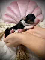 processed/305e4d08-0276-4e0a-8db2-3e1f5ab3b0e8/listing/910bf0d6-bcf8-4588-a58b-dbc5f2e01045/61765d08-02d1-41f0-b138-49d054faaee2