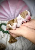 processed/305e4d08-0276-4e0a-8db2-3e1f5ab3b0e8/listing/c3bcf4b9-fb38-48fa-8746-5c0d6d10ce7a/c54a847d-3fb0-4610-abe4-6effafb6549f