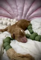 processed/305e4d08-0276-4e0a-8db2-3e1f5ab3b0e8/listing/cbb59ee4-e9b0-4081-b4f3-aefac622a675/82ea6bcb-bf49-4d12-b840-3378d4dfcf50