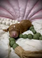 processed/305e4d08-0276-4e0a-8db2-3e1f5ab3b0e8/listing/cbb59ee4-e9b0-4081-b4f3-aefac622a675/f63db2b6-6bac-45be-9973-8e1692f0cf1b