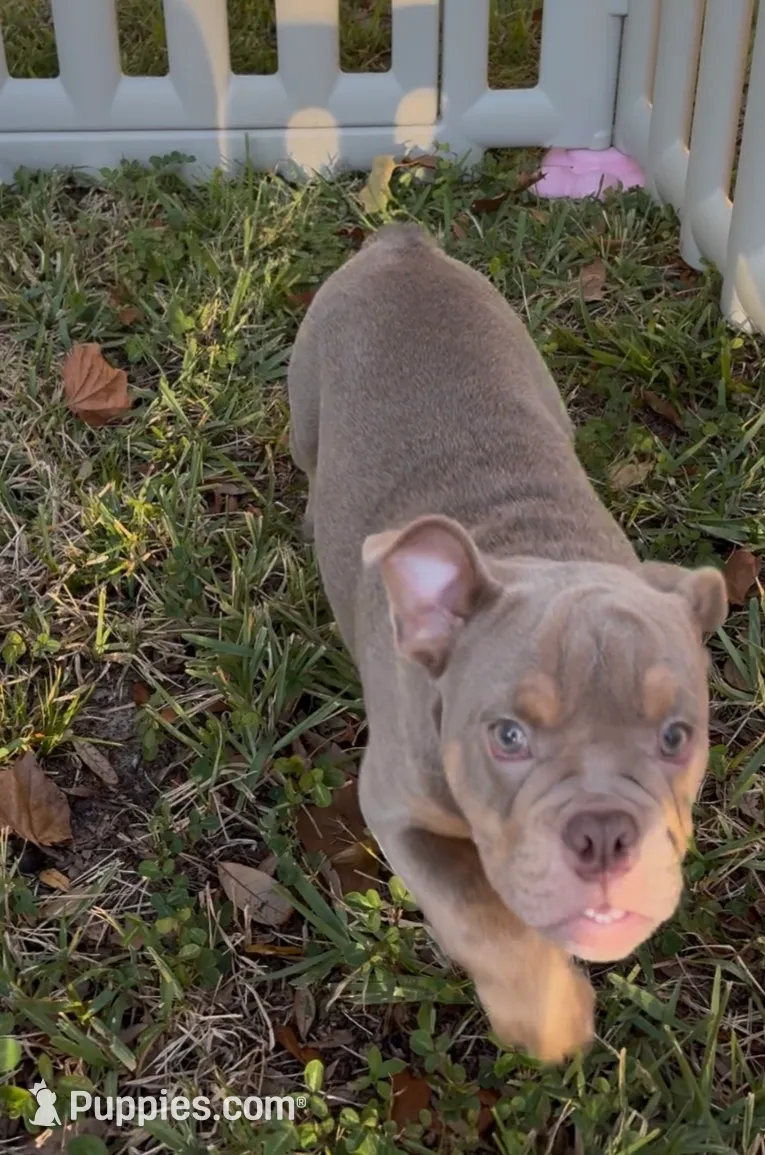 processed/306172e0-632b-4786-9a42-7eaad6688e2d/listing/0afad875-d8e7-4536-ac8e-49fcd1b19d26/6790ebfd-d322-4c12-a26b-50f33949bbde