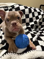 processed/306172e0-632b-4786-9a42-7eaad6688e2d/listing/0afad875-d8e7-4536-ac8e-49fcd1b19d26/7f5408fe-07bc-4e5e-b90a-b741c4da00ea