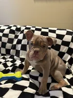 processed/306172e0-632b-4786-9a42-7eaad6688e2d/listing/0afad875-d8e7-4536-ac8e-49fcd1b19d26/84e0d27d-dc78-481b-b00d-19db2712e1da