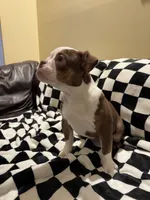 processed/306172e0-632b-4786-9a42-7eaad6688e2d/listing/67591e65-b3a6-4c8c-8d92-4e08b37c8720/1b2c0982-9871-4df1-81a0-7e06cec88722