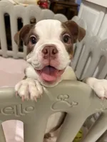 processed/306172e0-632b-4786-9a42-7eaad6688e2d/listing/67591e65-b3a6-4c8c-8d92-4e08b37c8720/6ba4b02a-edc4-4cd1-a32c-ef5f83111727