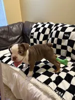 processed/306172e0-632b-4786-9a42-7eaad6688e2d/listing/67591e65-b3a6-4c8c-8d92-4e08b37c8720/d4fa1feb-82f3-4636-bb55-562ab5d15a61