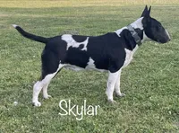 processed/306597f9-2b5f-454b-a5b6-37cba0e2797d/facility/02efbef8-c2d4-4d26-a717-20f0bc2297b6