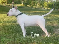 processed/306597f9-2b5f-454b-a5b6-37cba0e2797d/facility/8329f239-1e91-4241-b7a1-e7c1194e3091