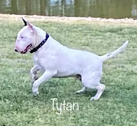 processed/306597f9-2b5f-454b-a5b6-37cba0e2797d/facility/ecb71fd8-9b23-4564-9bec-079858e57a89