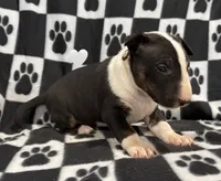 processed/306597f9-2b5f-454b-a5b6-37cba0e2797d/listing/64068f26-939a-47be-867d-50e42ca05372/174bffe8-f17a-43bb-8885-95392a943cba