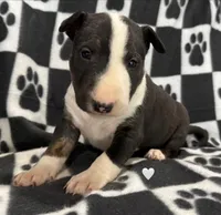 processed/306597f9-2b5f-454b-a5b6-37cba0e2797d/listing/64068f26-939a-47be-867d-50e42ca05372/22b751f4-bcb1-48fc-8514-c3659377fb7e