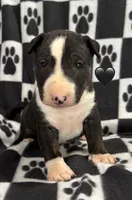 processed/306597f9-2b5f-454b-a5b6-37cba0e2797d/listing/6fbf181b-a8c3-4256-87cc-fb8282907ea0/707b824c-2981-4dec-8895-8e6579019ad0