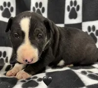 processed/306597f9-2b5f-454b-a5b6-37cba0e2797d/listing/6fbf181b-a8c3-4256-87cc-fb8282907ea0/e3e80214-ec73-4f37-9f29-c3ee6117667a