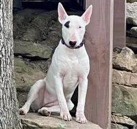 processed/306597f9-2b5f-454b-a5b6-37cba0e2797d/listing/6fbf181b-a8c3-4256-87cc-fb8282907ea0/e5d08ded-b807-4065-a7c1-566209c29db7