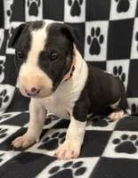 processed/306597f9-2b5f-454b-a5b6-37cba0e2797d/listing/975edd85-6712-4ad0-aea8-41be3d61814c/2d77fa77-194f-4477-83e8-65196afd388a