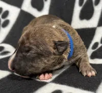 processed/306597f9-2b5f-454b-a5b6-37cba0e2797d/listing/abccdf81-f4bf-435a-8d88-867bb0296395/34c0b341-a0cc-4b0f-8186-b4bf2c208c31