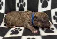 processed/306597f9-2b5f-454b-a5b6-37cba0e2797d/listing/abccdf81-f4bf-435a-8d88-867bb0296395/774fa23f-482e-4089-83ec-a2187f79e8a3