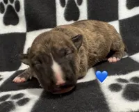 processed/306597f9-2b5f-454b-a5b6-37cba0e2797d/listing/abccdf81-f4bf-435a-8d88-867bb0296395/d687d358-349e-429f-ba1e-33f1be989d5d