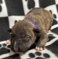 processed/306597f9-2b5f-454b-a5b6-37cba0e2797d/listing/c61b71e9-9bc8-4158-bd1b-85579c0dbf10/1fdf570e-db62-4246-bb3c-cb273194a7a5