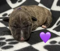 processed/306597f9-2b5f-454b-a5b6-37cba0e2797d/listing/c61b71e9-9bc8-4158-bd1b-85579c0dbf10/2eeaaf66-ba5b-4cda-92e4-fec4d061ace8