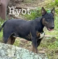 processed/306597f9-2b5f-454b-a5b6-37cba0e2797d/listing/c61b71e9-9bc8-4158-bd1b-85579c0dbf10/a29d1fe3-f216-43fa-84f0-c3a3650f2e58