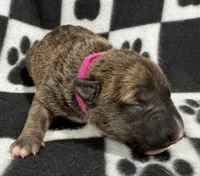 processed/306597f9-2b5f-454b-a5b6-37cba0e2797d/listing/ceac7a91-222e-4939-a8fe-dd72c9eb6820/954f08d7-c638-4e60-866a-cd931460d892